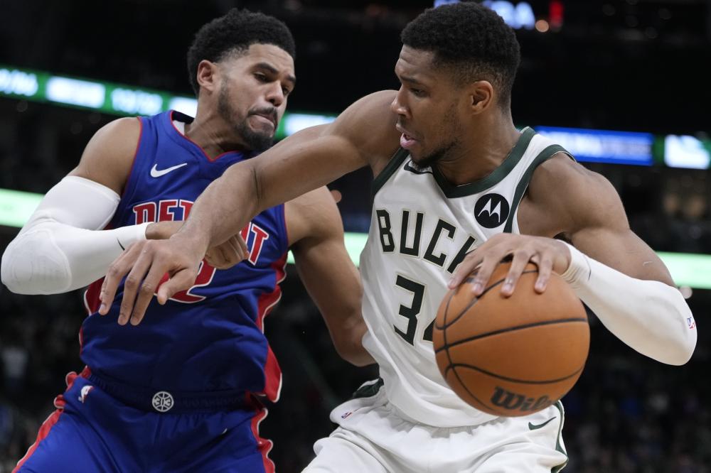 一棵树无法 一棵树无法